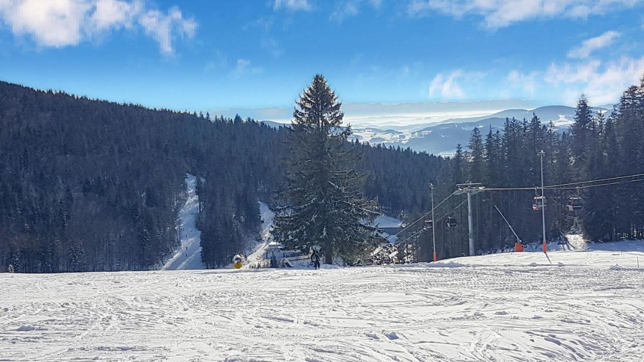 Chalex Villa Aigen im Muehlkreis Luaran gambar